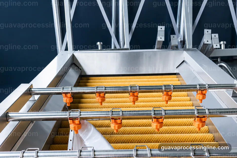industrial guava puree processing line, feed and output handling: staged guava refiner operating stage