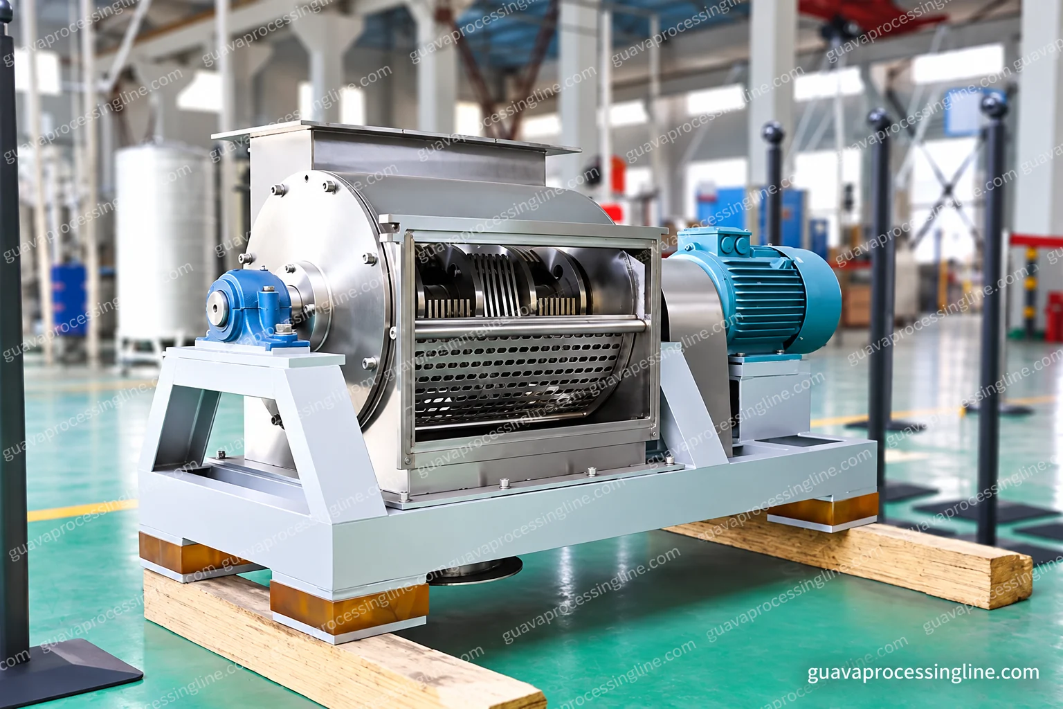 Fruit Crusher for Guava Preparation
