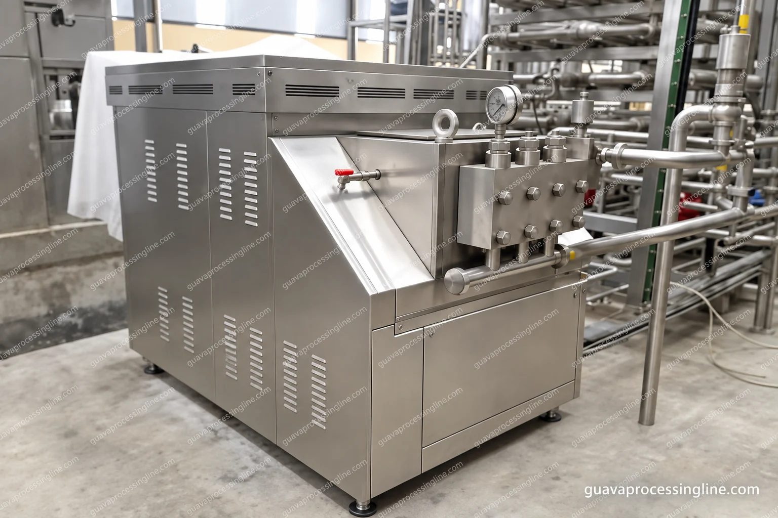 High-Pressure Homogenizer for Guava Base