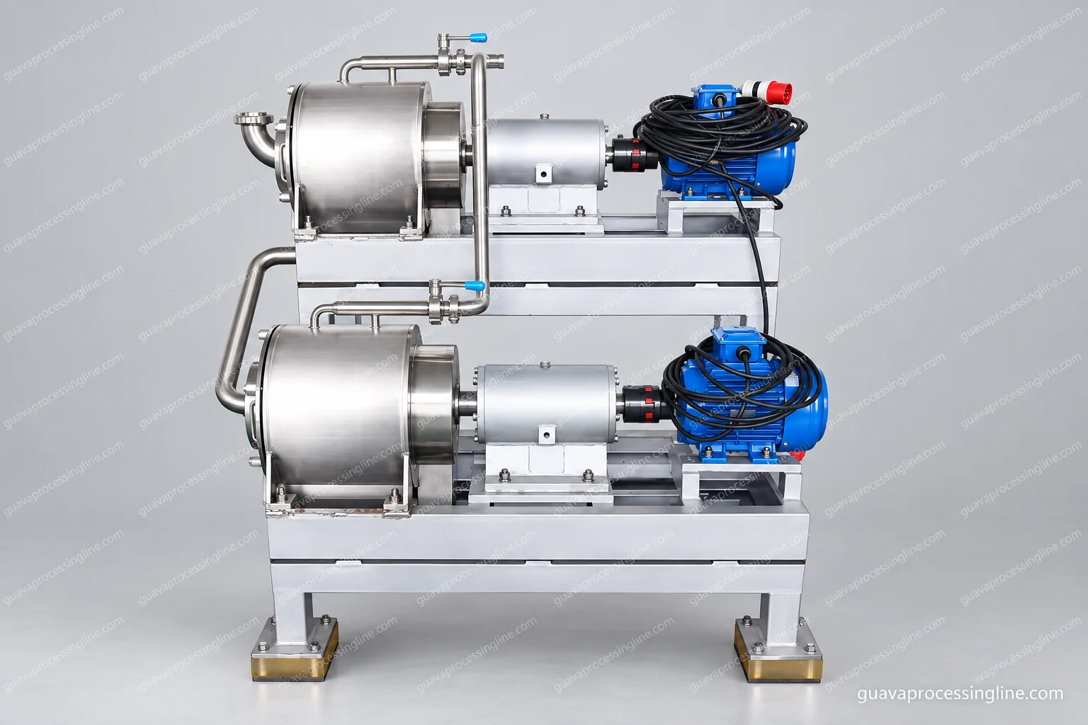 Guava Pulp and Puree Processing Line