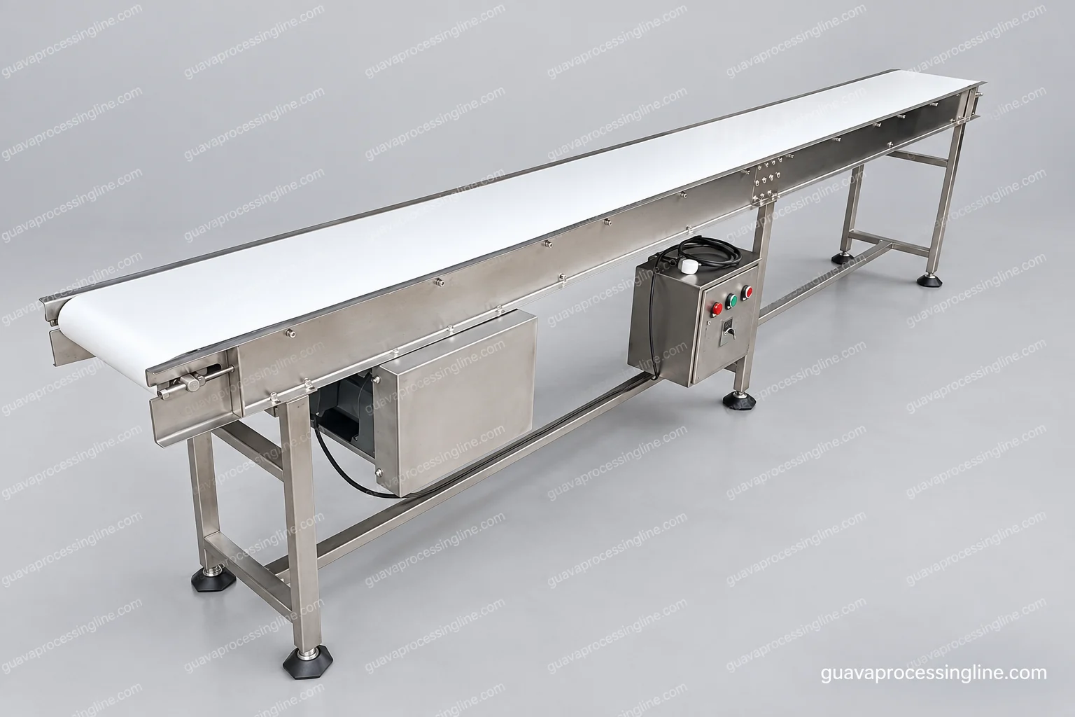 Guava Inspection Conveyor